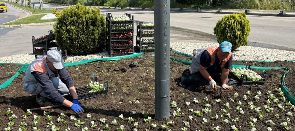 BANDIRMA’DA HİZMET ATAĞI: ÇEVRE DÜZENLEMESİ,  ASFALT ONARIMI VE TRAFİK DÜZENLEMELERİ SÜRÜYOR