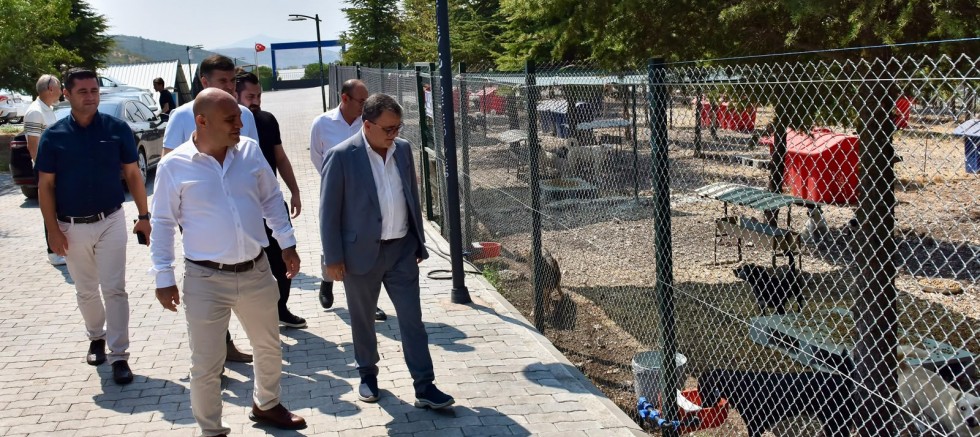 BAŞKAN ŞEHİRLİ’DEN CAN DOSTLARA YAKIN İLGİ