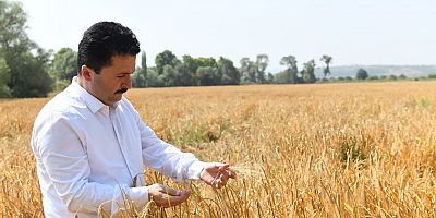 ALTIEYLÜL TARLASINDAN İHTİYAÇ SAHİPLERİNİN SOFRASINA