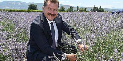 Aromaterapi Festivali başlıyor