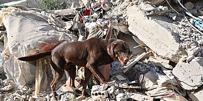 ‘Ateş’ yürek ısıtmak için çalışıyor