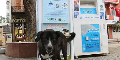 ATIKLARINIZ SOKAK HAYVANLARINA CAN OLSUN
