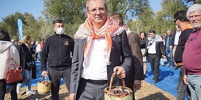 -  AYVALIK 17. ULUSLARARASI ZEYTİN HASAT   FESTİVALİ PROGRAMI YİNE DOPDOLU