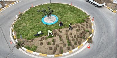 Balıkesir’de belediye kendi çimini üretiyor