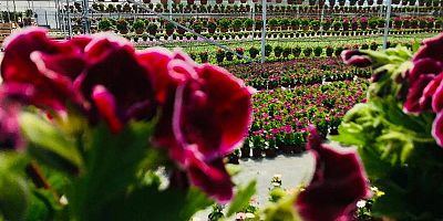 Balıkesir’e İki Yeni Tarıma Dayalı Organize Sanayi Bölgesi Geliyor