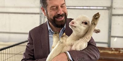 Balıkesir Kuzusunda Sındırgı Marka Değer Olacak