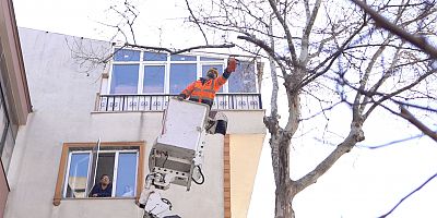 Bandırma Belediyesi Ağaçlarının Sağlığını Koruyor