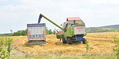 BAÜN’de Tarımsal Üretim Devam Ediyor