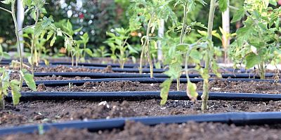 BBB, kuraklığa karşı önlem alıyor