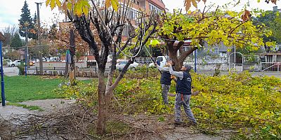 BURHANİYE MERKEZDE PARKLAR YENİLENİYOR