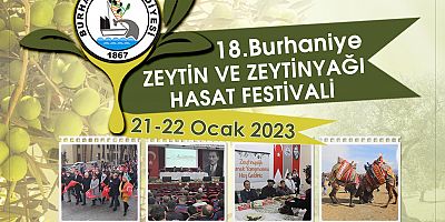 BURHANİYE ZEYTİN HASAT FESTİVALİNE GERİ SAYIM BAŞLADI