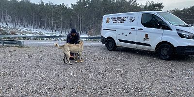 Büyükşehir’in şefkatli ve şifalı elleri canların yanında