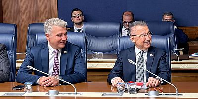 Canbey, Dışişleri Komisyonu Başkanvekili Oldu