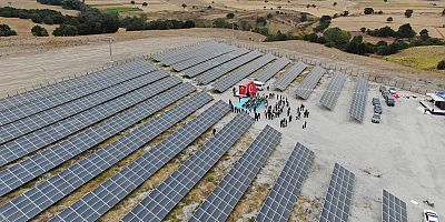 ÇEVRE DOSTU KARESİ