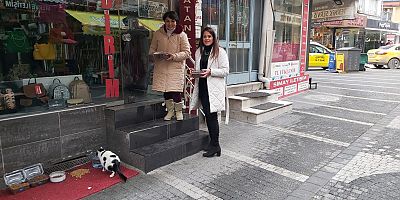 DEVA KARESİ SOKAK HAYVANLARI İÇİN HAREKETE GEÇTİ