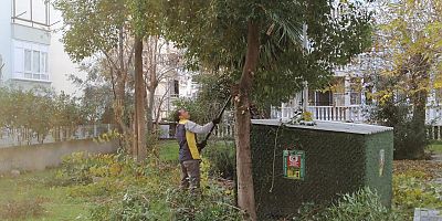DÖRT MEVSİM YEŞİL EDREMİT İÇİN