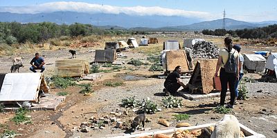 EDREMİT BELEDİYESİ SOKAK HAYVANLARININ YANINDA