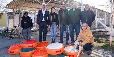 ESKİ LASTİKLER BARINAKTAKİ CAN DOSTLARIMIZ İÇİN YATAK OLDU