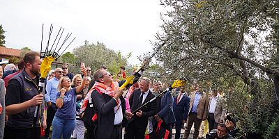İLK HASAT VE ZEYTİNYAĞI SIKIMI YAPILDI