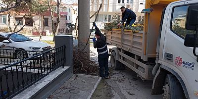 KARESİ BELEDİYESİ’NDEN AĞAÇLARA KIŞ BAKIMI