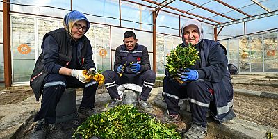 KARESİ ÇİÇEK AÇACAK