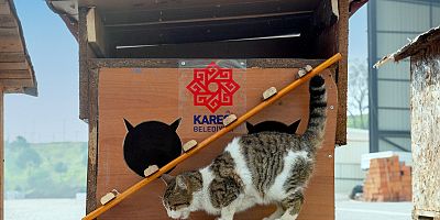 KARESİ’DE ATIKLARDAN CAN DOSTLARA SICAK YUVA