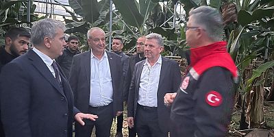 Mustafa Canbey: 
