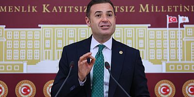‘TÜRKİYE İÇİN YEŞİL MUTABAKAT BİR ZORUNLULUK’