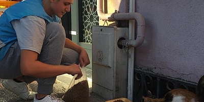 Ülkü Ocaklarından 50 Noktada 50 Kg Mama Dağıtımı.