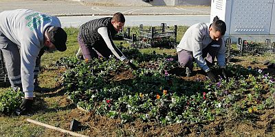 YEŞİL EDREMİT İÇİN ÇALIŞIYORUZ